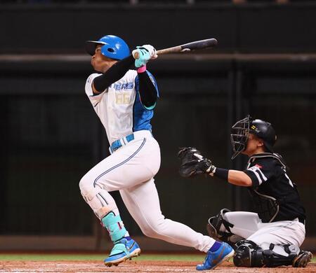 　７回、右越えに勝ち越しソロを放つ万波（撮影・中島達哉）