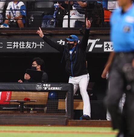 　７回、万波が勝ち越しソロを放ち、ベンチから飛び出す新庄監督（右）＝撮影・中島達哉