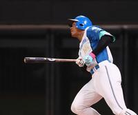 　７回、右越えに勝ち越しソロを放つ万波（撮影・中島達哉）