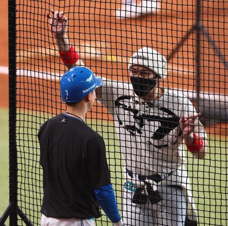 　試合前、松本剛（左）に声を掛ける新庄監督＝２２日