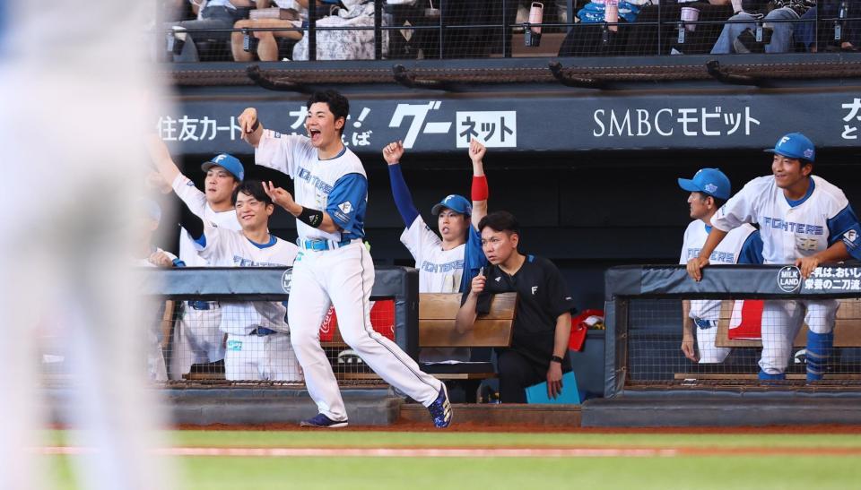 　２回、適時打を放った万波にわきあがる清宮幸（中央左）ら日本ハムナイン（撮影・中島達哉）