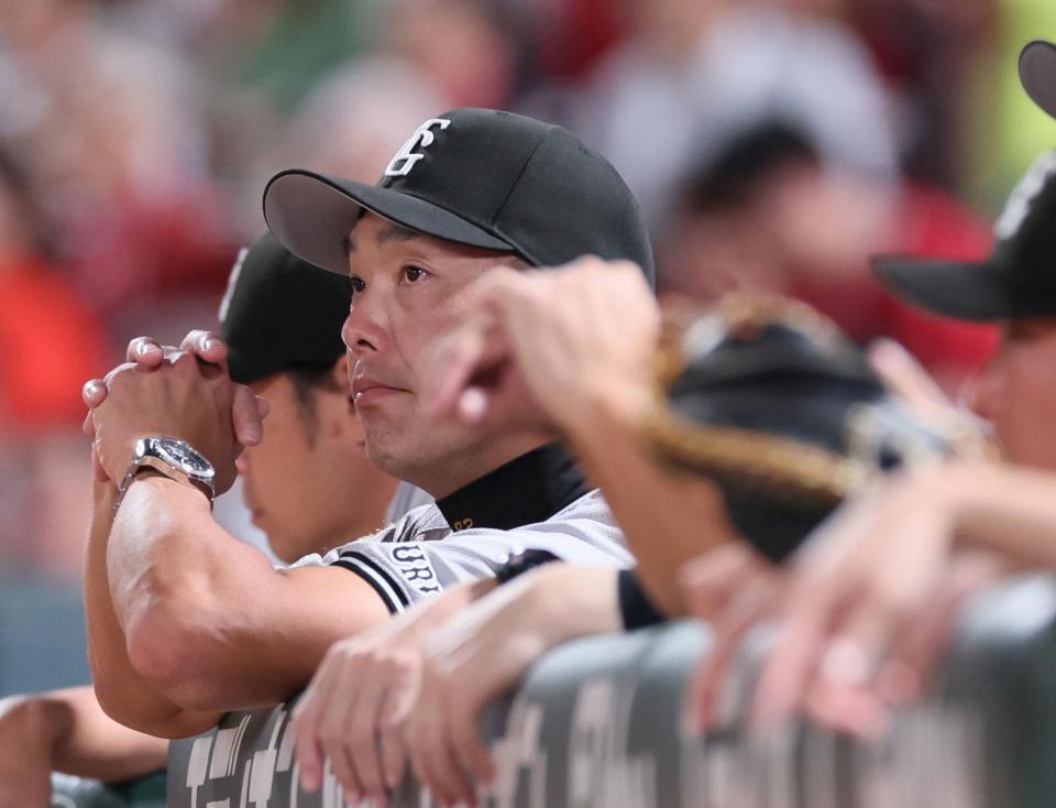 　戦況を見守る阿部監督（撮影・立川洋一郎）