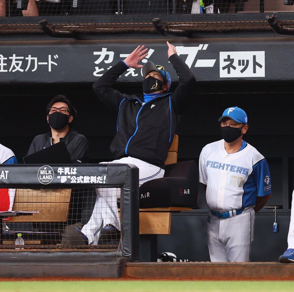 　１回、有薗の放った打球が左犠飛となり、天を仰ぐ新庄監督（中央）＝撮影・中島達哉