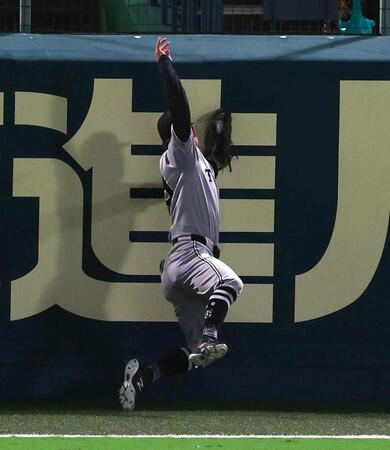 巨人　左翼手の若林がフェンス激突　立ち上がる姿に甲子園の阪神ファンからも拍手がわき起こる