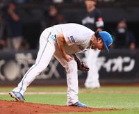 　６回、栗原を三振に仕留め、雄たけびを上げる伊藤（撮影・中島達哉）