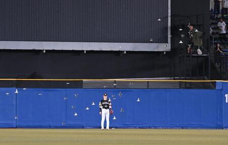 　６回、珍客の襲来にぼう然と立ち尽くす中堅手・周東（撮影・開出牧）