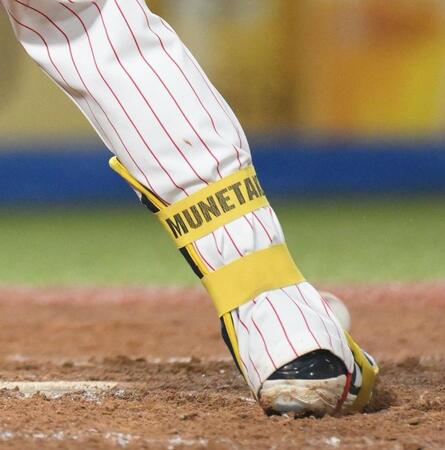 　５回、右足甲付近に死球を受ける村上（撮影・伊藤笙子）