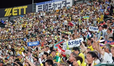 　六甲おろしを大合唱するスタンドの阪神ファン（撮影・立川洋一郎）