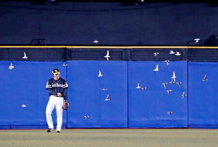 　６回、ロッテの攻撃中に球場内を飛び回る鳥の群れ。試合中断となる