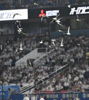 　６回、ＺＯＺＯマリンスタジアムのグラウンド上空を飛び回る鳥