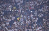 　６回のロッテの攻撃中に鳥の群れがグラウンドを飛び回り試合は一時中断（撮影・開出牧）