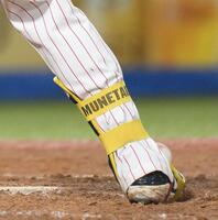 　５回、右足甲付近に死球を受ける村上（撮影・伊藤笙子）