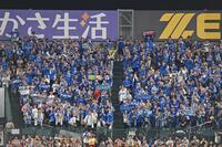 　８回、山本の打席でバースデーソングを演奏する応援団（撮影・西田忠信）