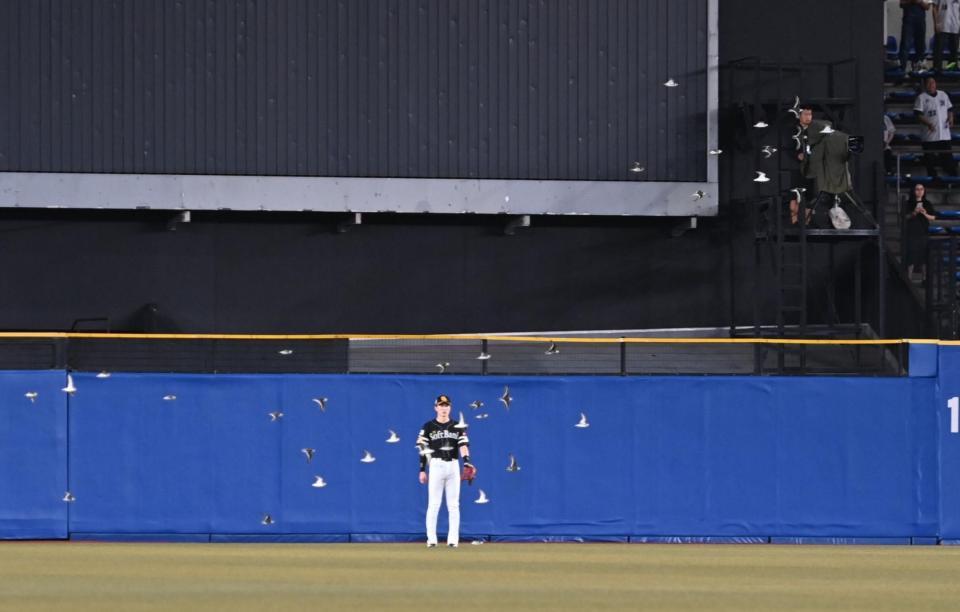 　６回、珍客の襲来にぼう然と立ち尽くす中堅手・周東（撮影・開出牧）