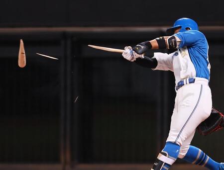 　８回、バットを折られ、一ゴロに倒れる今川（撮影・中島達哉）