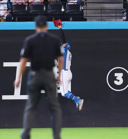 　７回、西川の打球を好捕する万波（撮影・中島達哉）