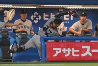 　３回、内山の打球を三塁ベンチ内で捕球する捕手の岸田（記録はファウル）＝撮影・伊藤笙子