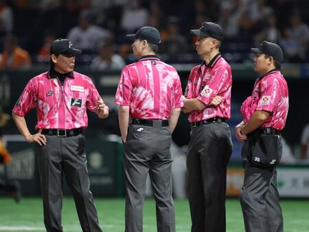 　ピンクユニフォームを着用する審判員（撮影・西岡正）