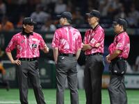 　ピンクユニフォームを着用する審判員（撮影・西岡正）