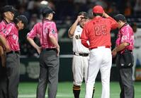 　メンバー表交換でピンクユニフォームを着用する審判員（撮影・西岡正）