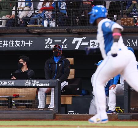 　９回、右飛に倒れたレイエス（右）を見つめる新庄監督（中央）＝撮影・中島達哉