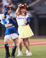 　ファイターズガールときつねダンスを踊る＝ＬＯＶＥ（撮影・中島達哉）