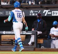 　８回、空振り三振を喫し、ベンチに戻る万波（６６）を厳しい表情で見つめる新庄監督（撮影・中島達哉）