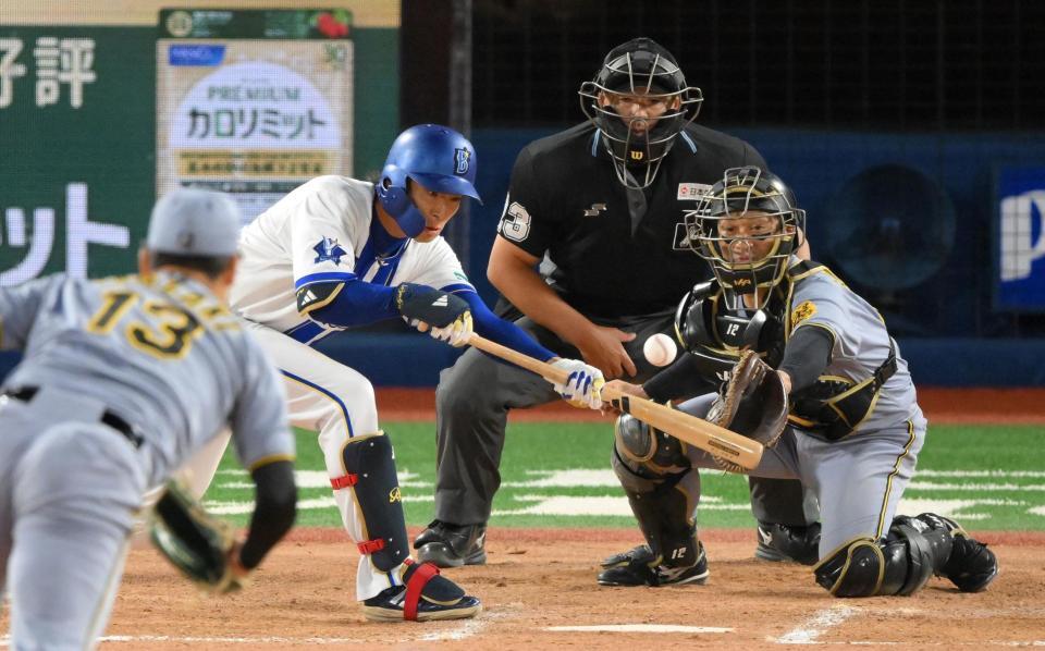 　１１回、犠打を決める度会（撮影・伊藤笙子）