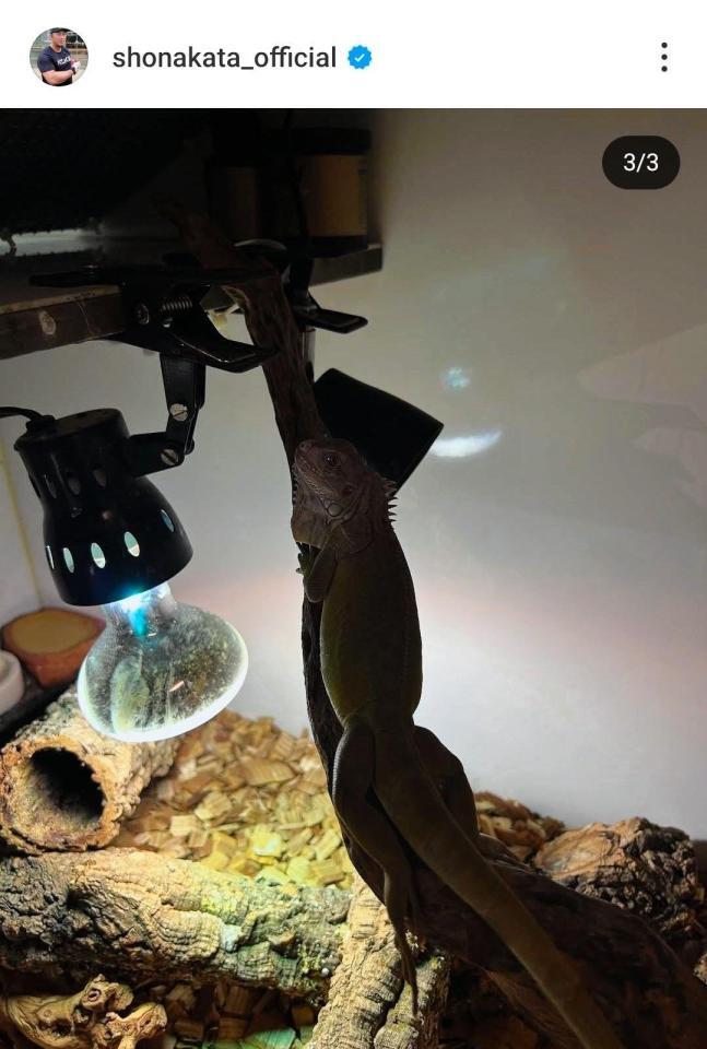 　中田翔のインスタグラム（＠ｓｈｏｎａｋａｔａ＿ｏｆｆｉｃｉａｌ）から