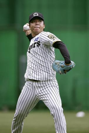 　キャッチボールで調整する阪神・村上＝６月、甲子園