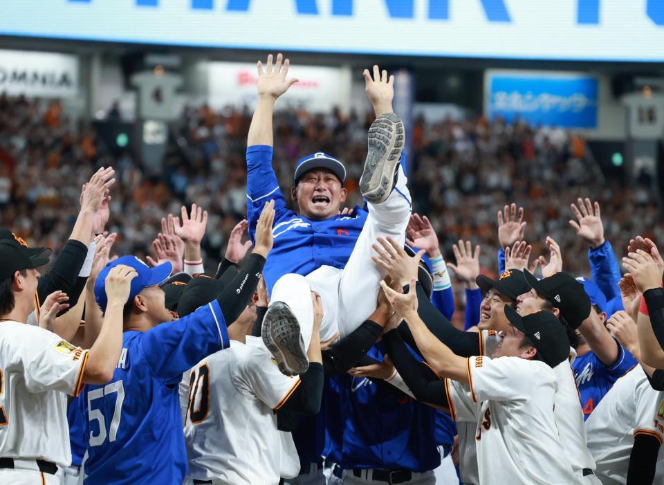 　胴上げされる中田（撮影・金田祐二）