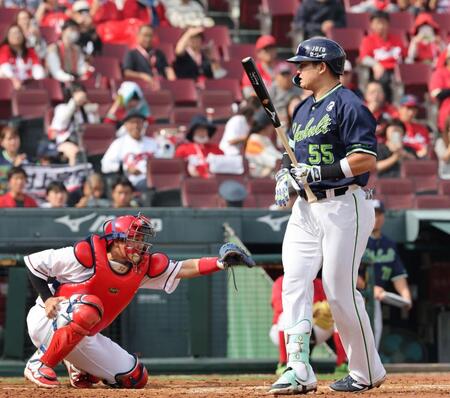 　４回、見逃し三振に倒れる村上（撮影・市尻達拡）