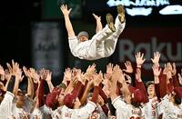 　チームメートから胴上げされる岡島