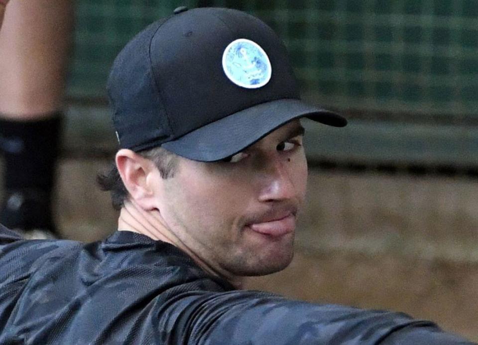 　巨人・グリフィン