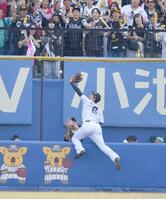 　１回、柳田の左越え先制ソロの打球をフェンスを恐れず飛びつく西川（撮影・開出牧）