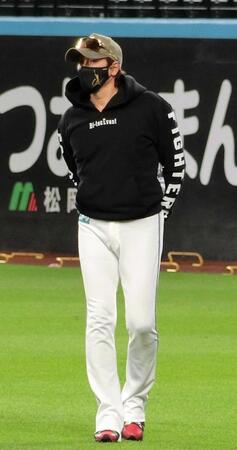 　練習を見守る新庄監督（撮影・藤田昌央）