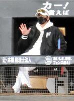 　ベンチで紅白戦を見守る新庄監督