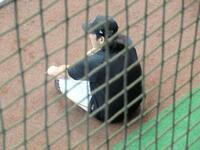 　練習の合間に山崎を激励した甲斐