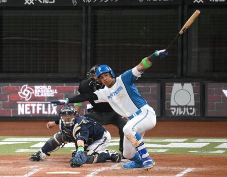 　２回、左前へ先制適時打を放つ万波（撮影・伊藤笙子）