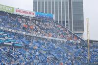 　レフト最上段で応援する巨人ファン（撮影・西岡正）