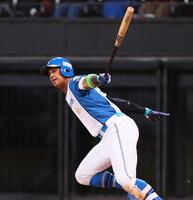 　２回、先制となる左前適時打を放つ万波（撮影・中島達哉）
