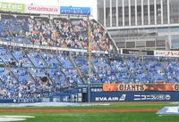 　ほぼ青一色に染まった横浜スタジアムのスタンド（撮影・佐藤厚）