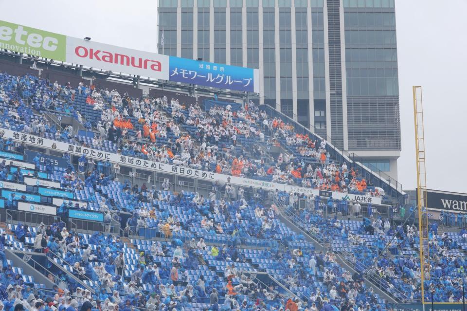 　レフト最上段で応援する巨人ファン（撮影・西岡正）