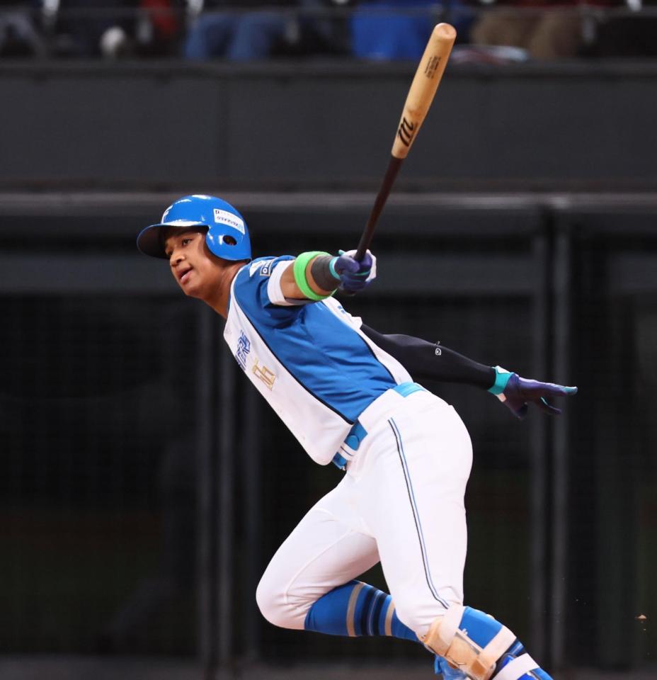 　２回、先制となる左前適時打を放つ万波（撮影・中島達哉）