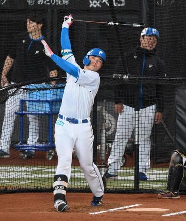 　フリー打撃を行う清宮幸（撮影・伊藤笙子）