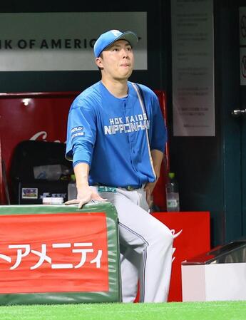 　７回途中で降板し、ベンチから戦況を見つめる田中（撮影・中島達哉）