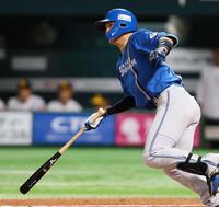 　６回、遊ゴロに倒れる郡司（撮影・中島達哉）