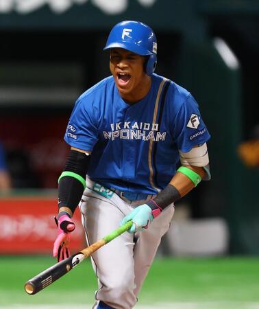 　６回、右飛に倒れ、声を出す万波（撮影・中島達哉）