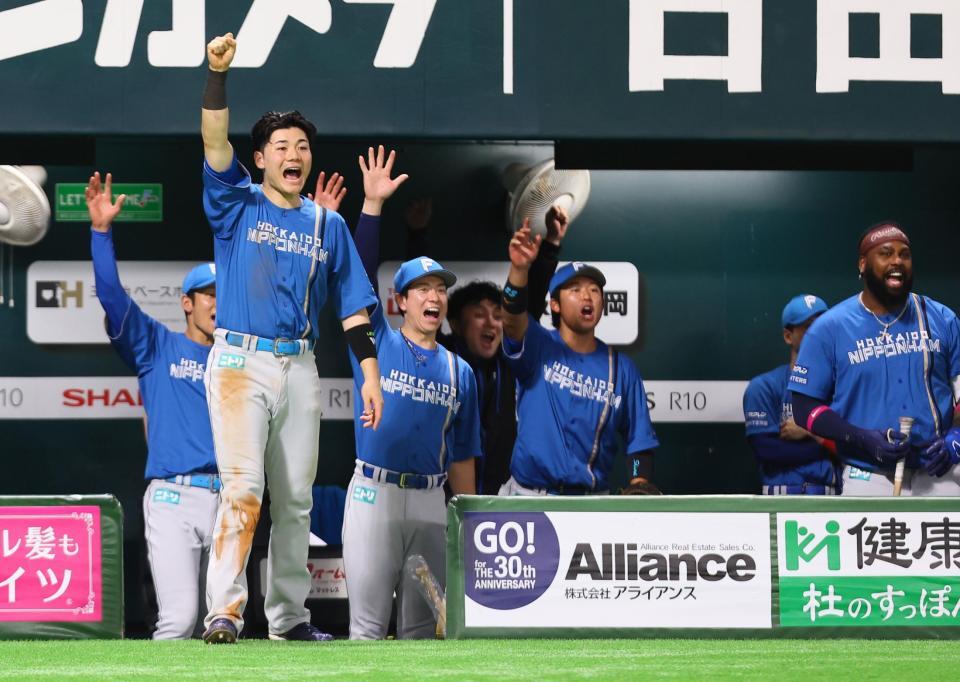 　４回、水谷がソロを放ち、沸き上がる清宮幸（左）ら日本ハムナイン（撮影・中島達哉）