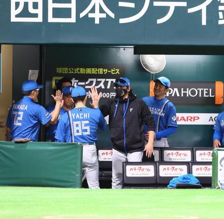 　ソフトバンクに３連勝し、コーチ陣とタッチを交わす新庄監督（中央）＝撮影・中島達哉
